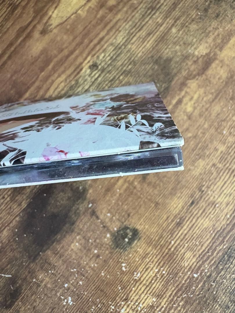 邦楽 The N.E.X.T. /ZONE THE DARKNESS ZORN