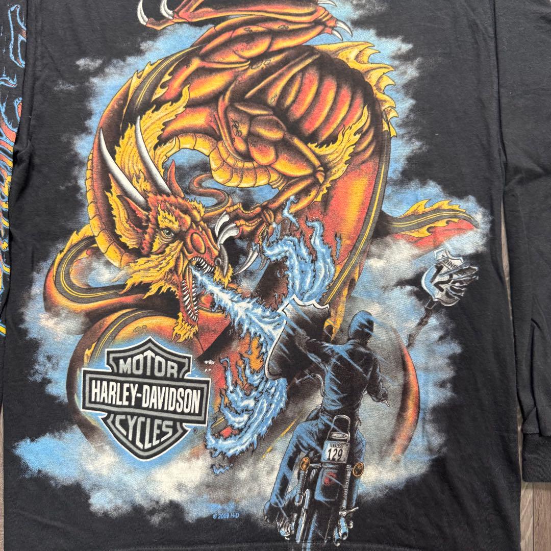 00sUSA製 ハーレーダビッドソン ブラック ドラゴン ブルーフレイム ロンT