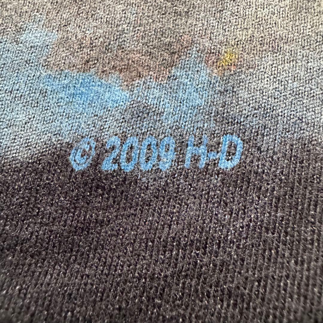 00sUSA製 ハーレーダビッドソン ブラック ドラゴン ブルーフレイム ロンT