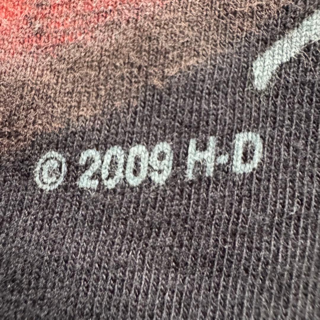 00sUSA製 ハーレーダビッドソン ブラック ドラゴン ブルーフレイム ロンT