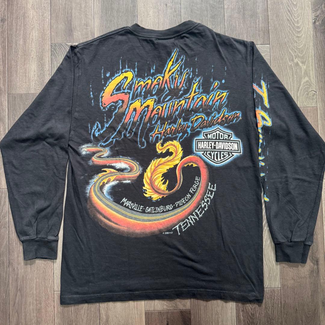 00sUSA製 ハーレーダビッドソン ブラック ドラゴン ブルーフレイム ロンT