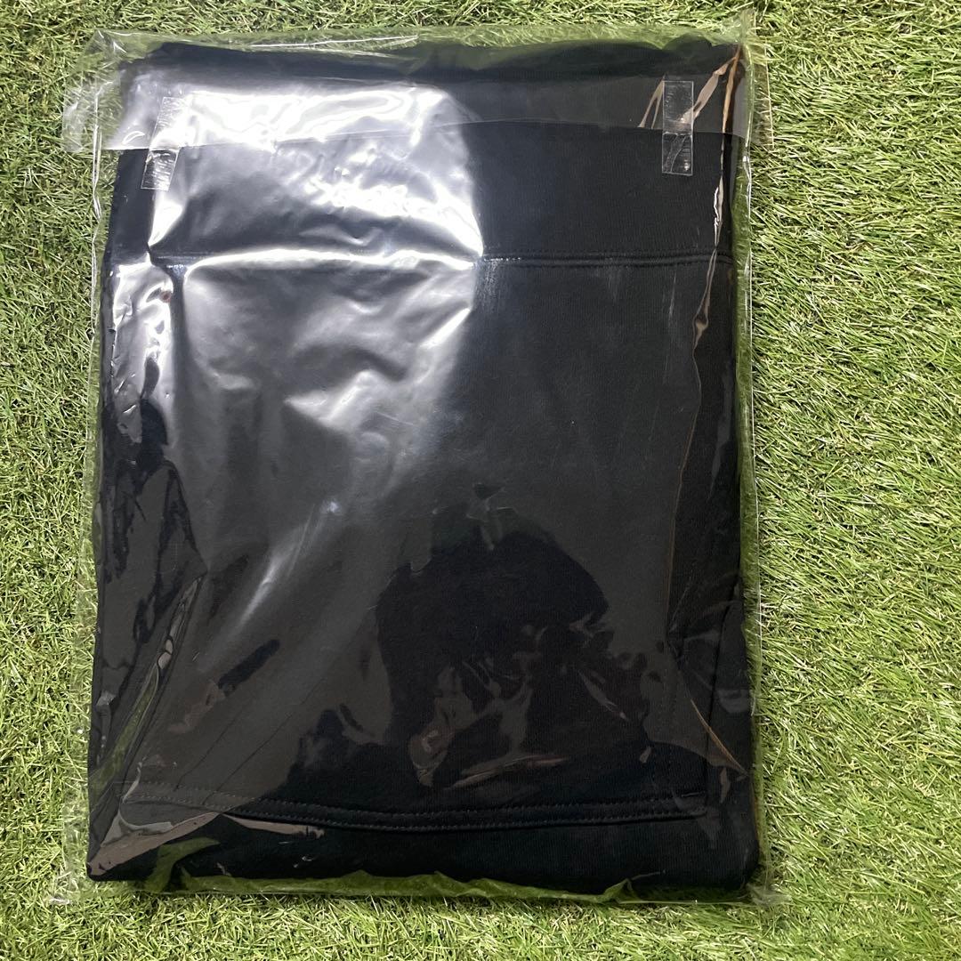 Hi-standard TOUR パーカー フーディ LサイズHONGOLIAN