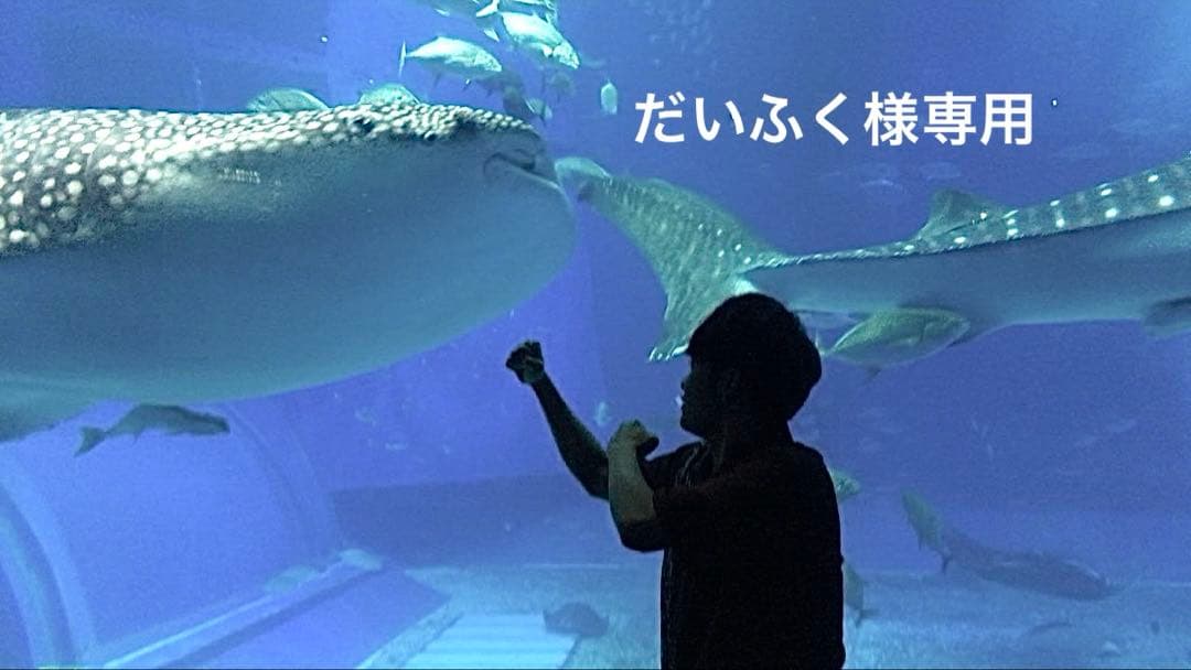 だいふく ensemble 5 初回限定盤2点