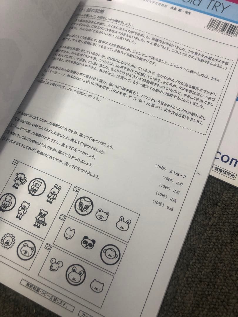 カーサ・フェミニナ小学校受験　幼児テスト　年中児トライB１０冊書き込み解答無