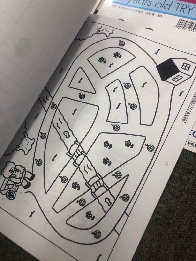 カーサ・フェミニナ小学校受験　幼児テスト　年中児トライB１０冊書き込み解答無