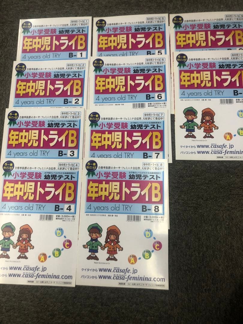カーサ・フェミニナ小学校受験　幼児テスト　年中児トライB１０冊書き込み解答無