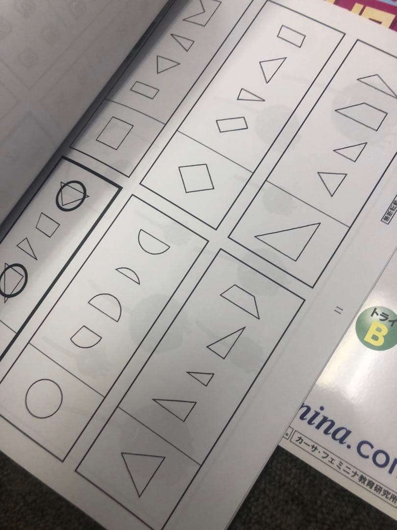 カーサ・フェミニナ小学校受験　幼児テスト　年中児トライB１０冊書き込み解答無