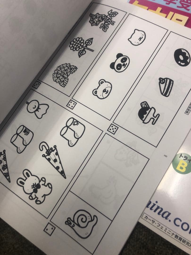 カーサ・フェミニナ小学校受験　幼児テスト　年中児トライB１０冊書き込み解答無