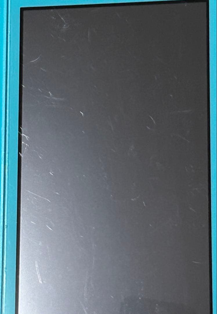 switchライト　本体　どうぶつの森セット まめきち&つぶきちアロハ柄