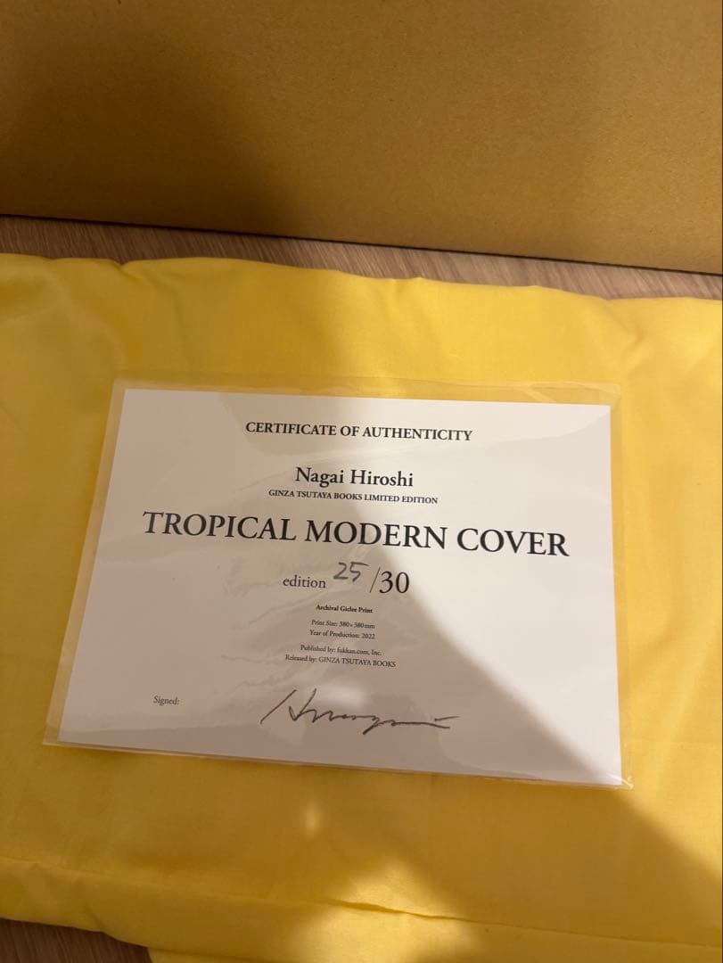 TROPICAL MODERN COVER 永井博 ED30