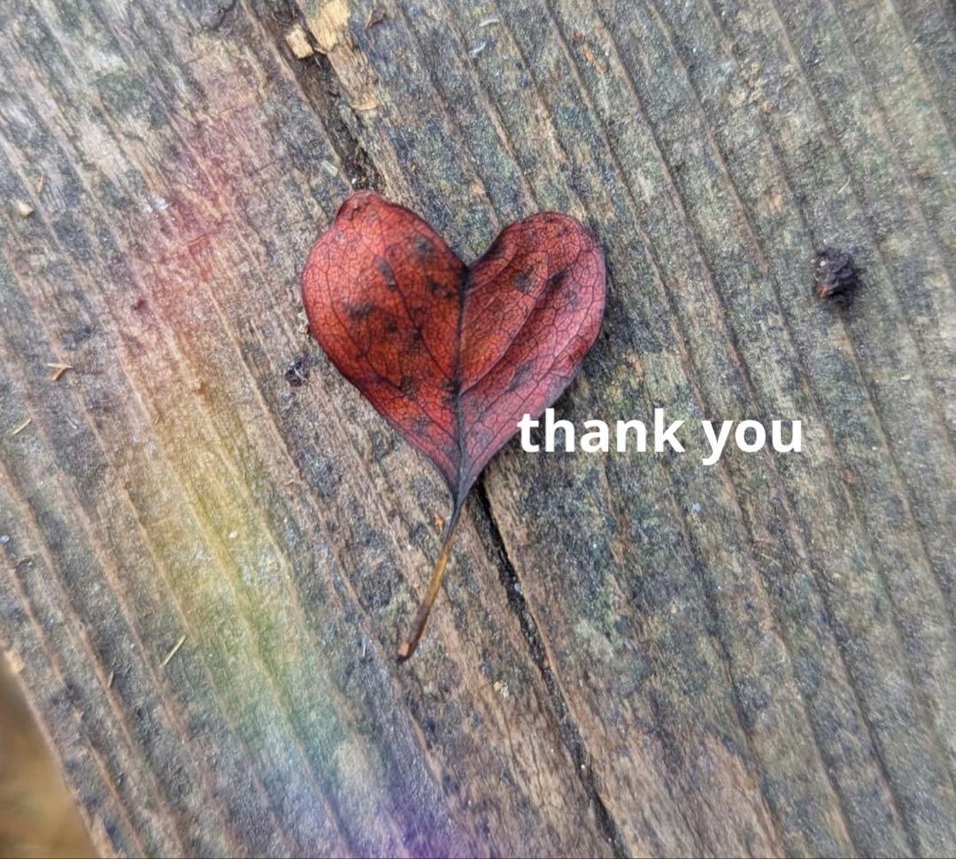 きえさん様 リクエスト 4点 まとめ商品