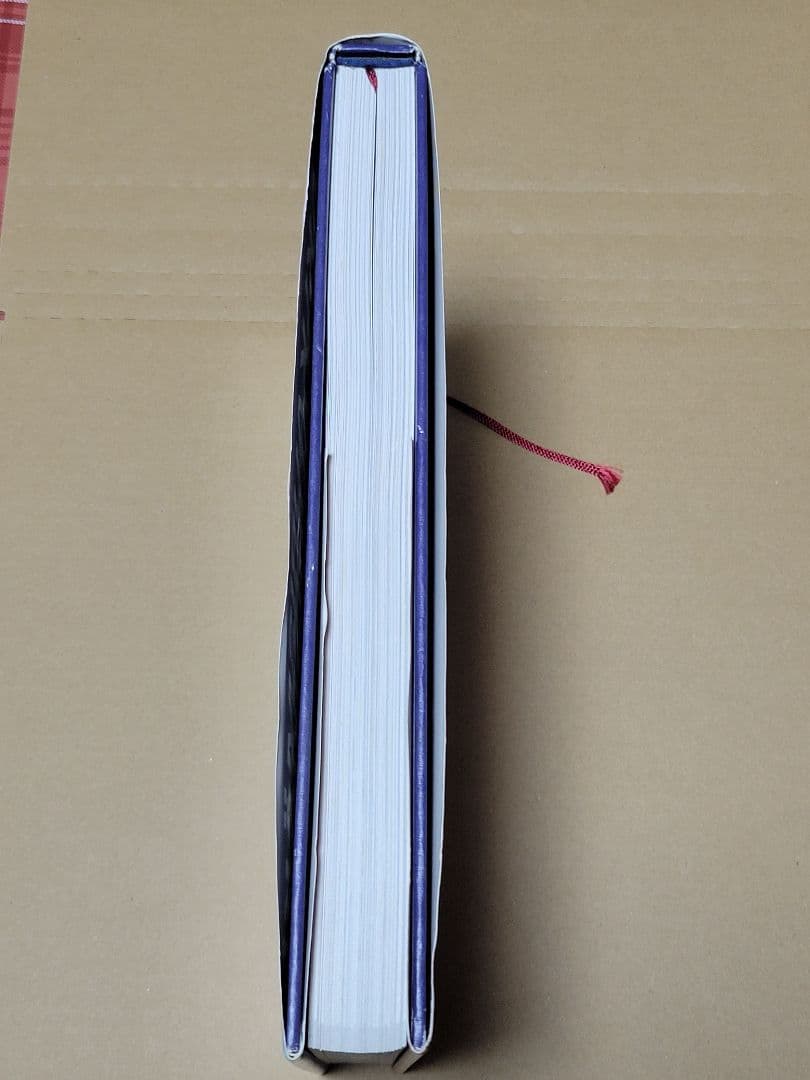 愛育社 アキ・カウリスマキ ペーター・フォン・バーグ著