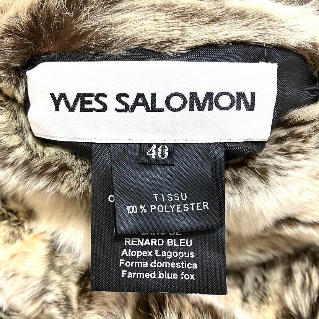 【極美品】YEVS SALOMON 最高級　ブルーフォックス　ロングコート　40