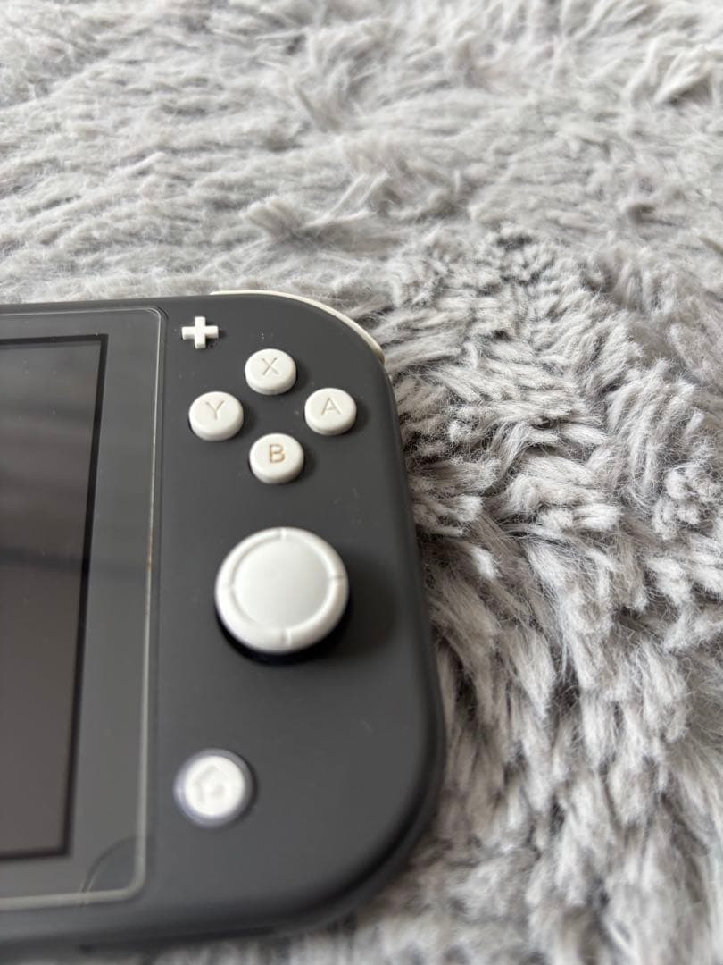 Nintendo switch liteグレー 本体、ケース