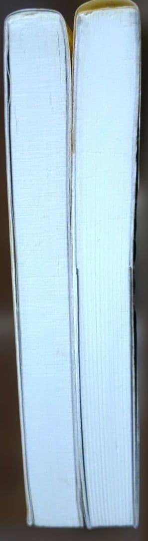 有坂誠人の現代文速解 例の方法 2冊セット