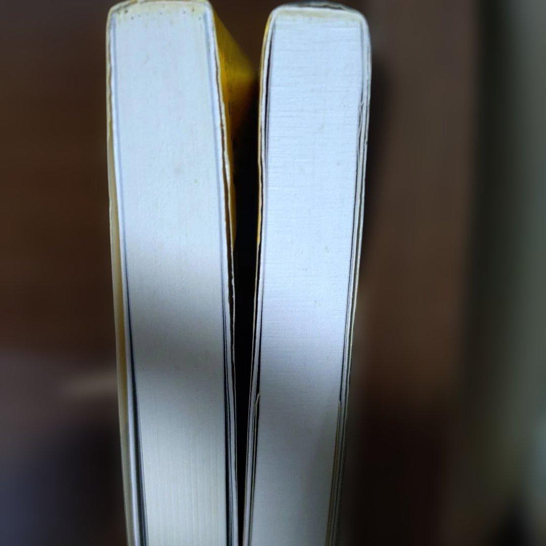 有坂誠人の現代文速解 例の方法 2冊セット