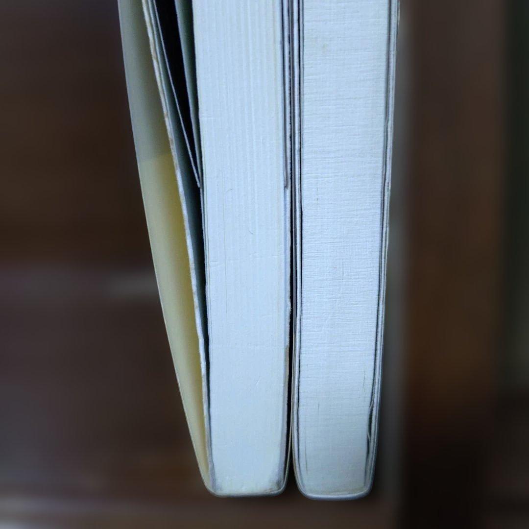 有坂誠人の現代文速解 例の方法 2冊セット