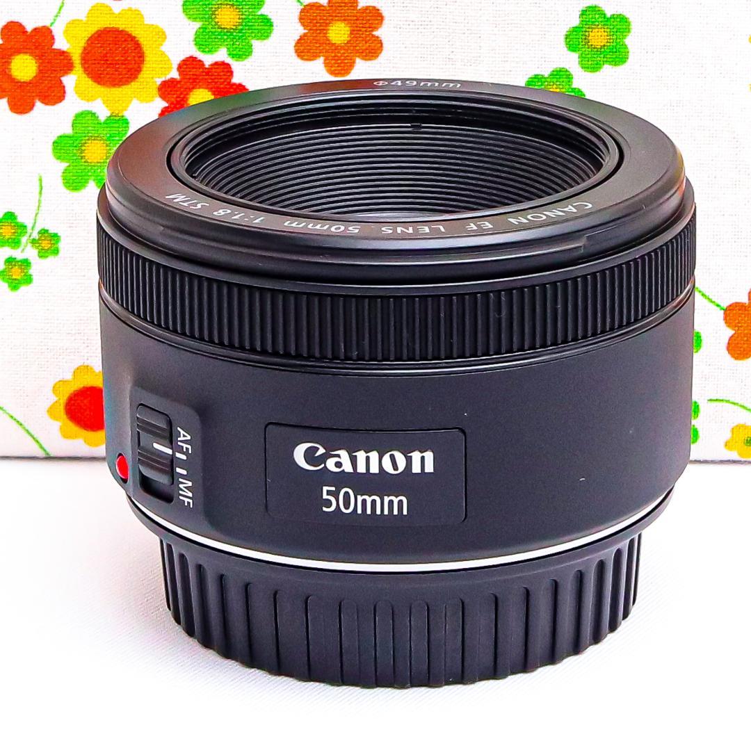 美品 キャノン Canon EF 50mm F1.8☆新型STM☆単焦点レンズ