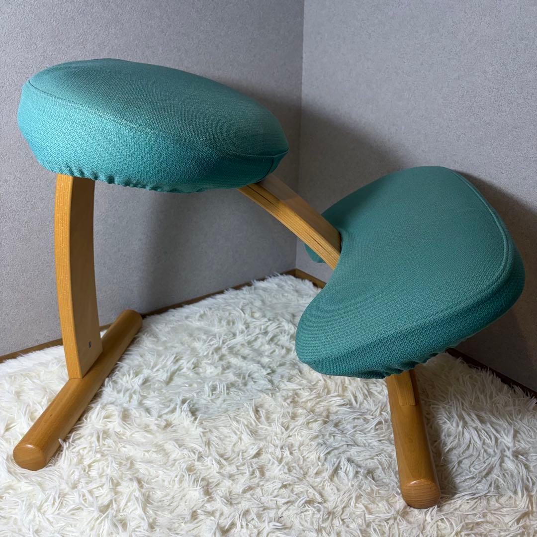 【極美品】リボ Rybo バランスイージー バランスラボ　balans カバー付