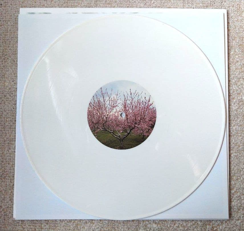 Washed Out ウォッシュドアウト Within And Without