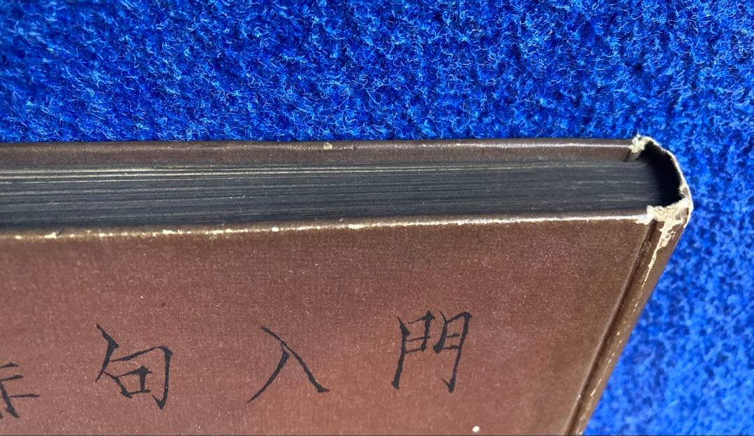 俳句入門　高浜虚子　大洋社