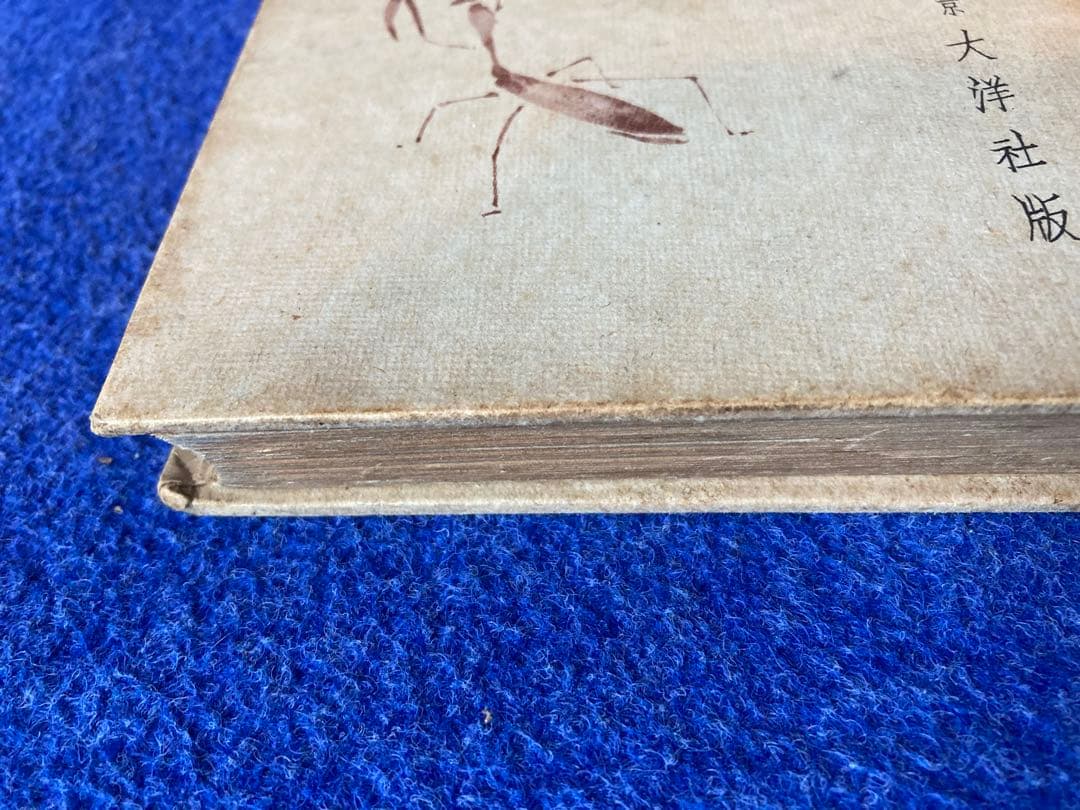 俳句入門　高浜虚子　大洋社