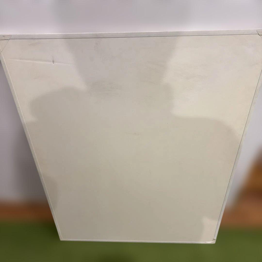 自律神経系図・人体神経系図セット