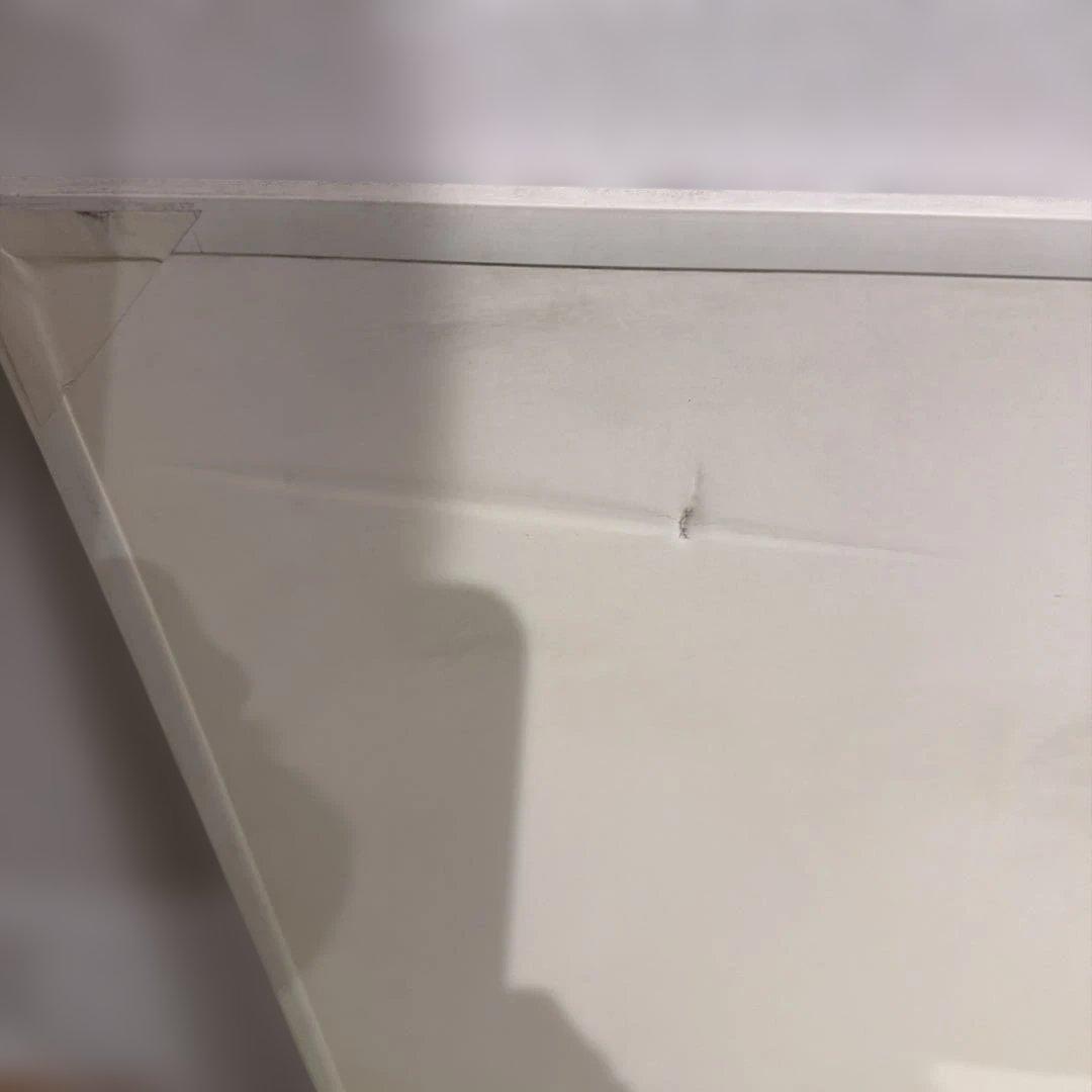 自律神経系図・人体神経系図セット