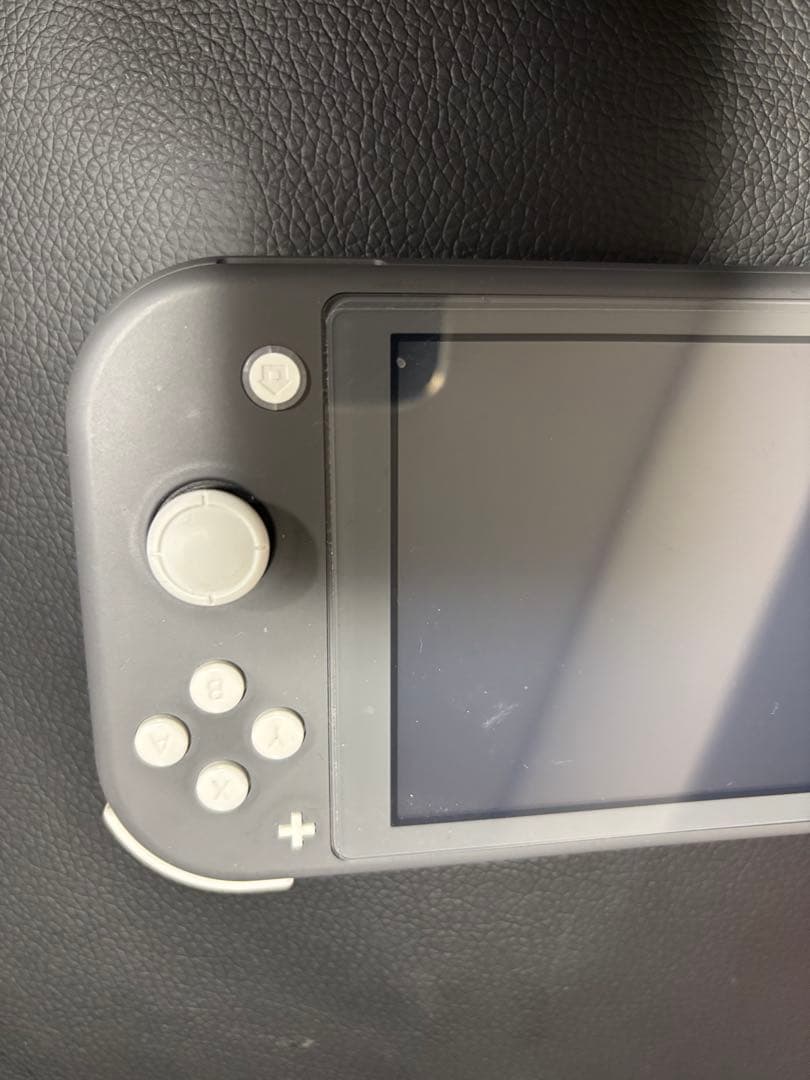 Nintendo Switch Lite おまけ シリコンカバーとフィルム付き