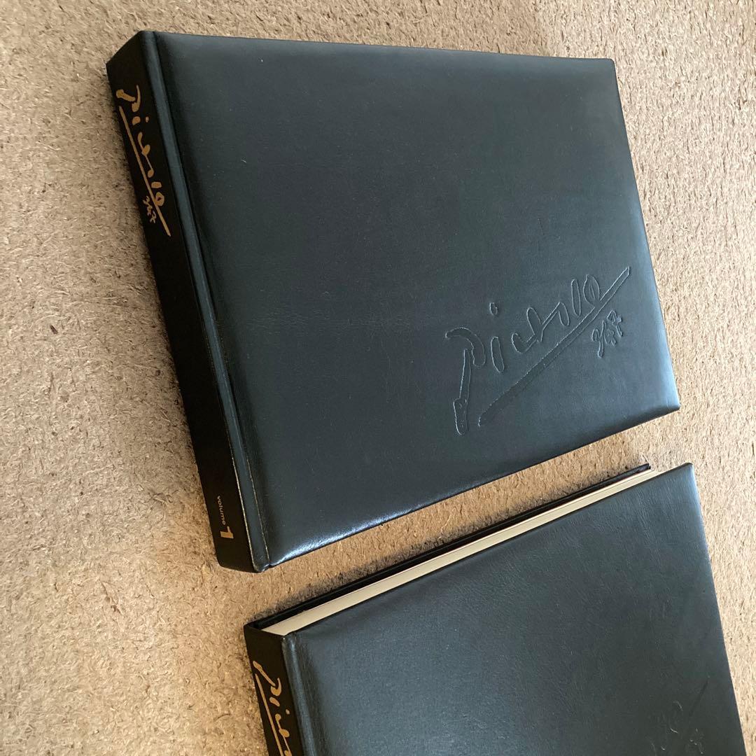 Picasso347 （限定版　ピカソ版画集）