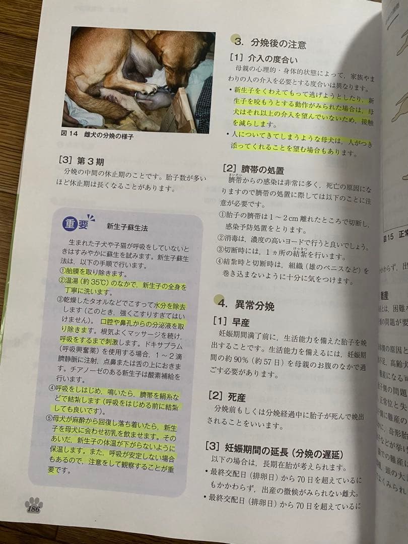 動物看護の教科書 全6巻セット