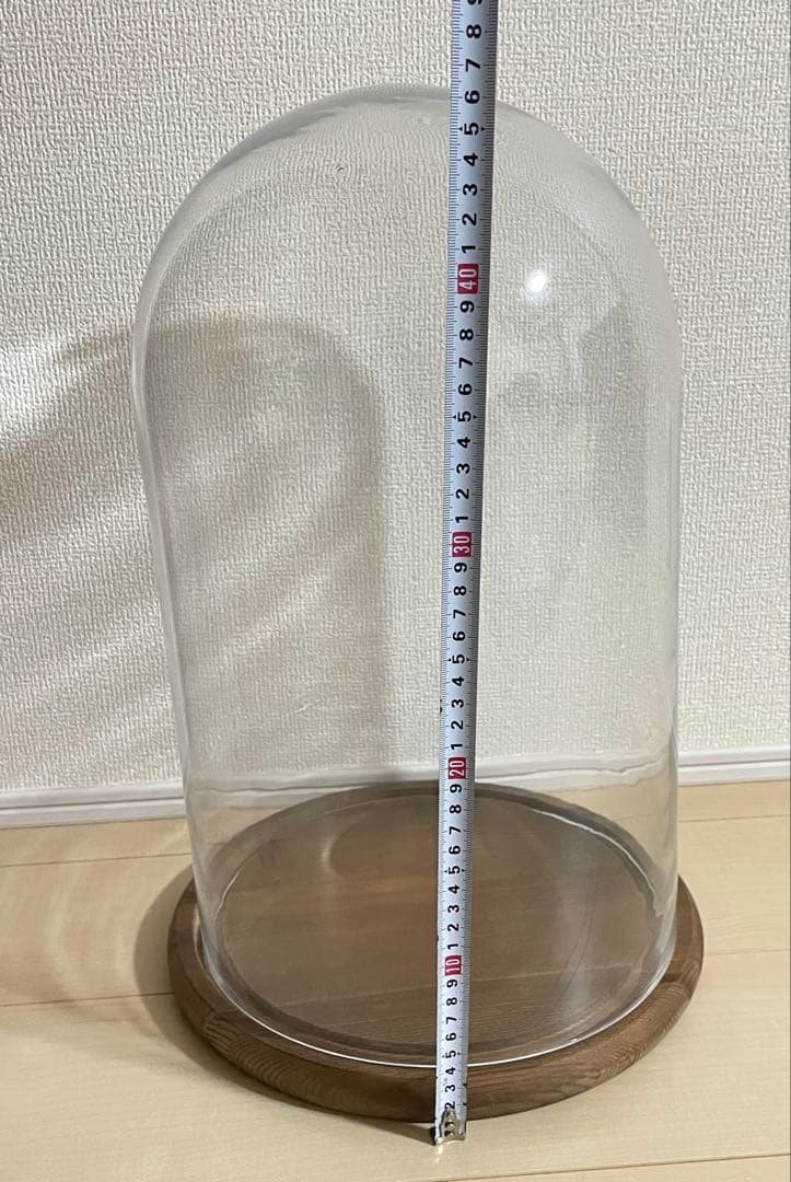 希少　DULTON ダルトングラスドーム ウッドトレイガラスドーム