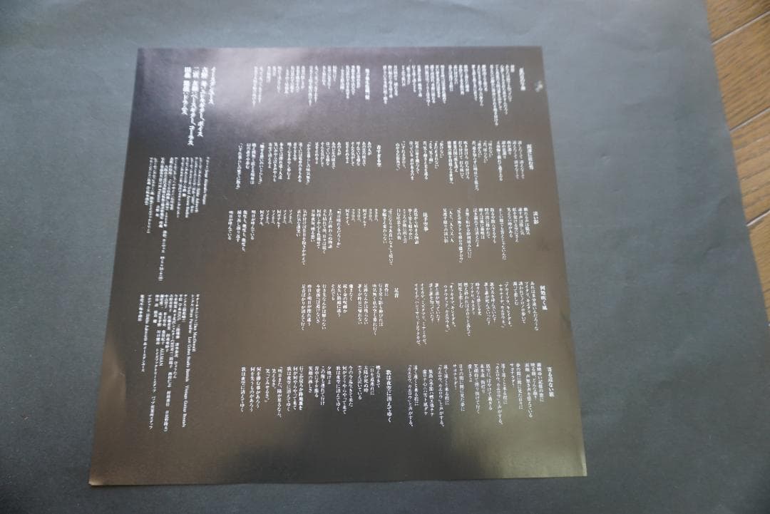 塩*。様 イースタンユース/eastern youth レコード(アナログ盤)