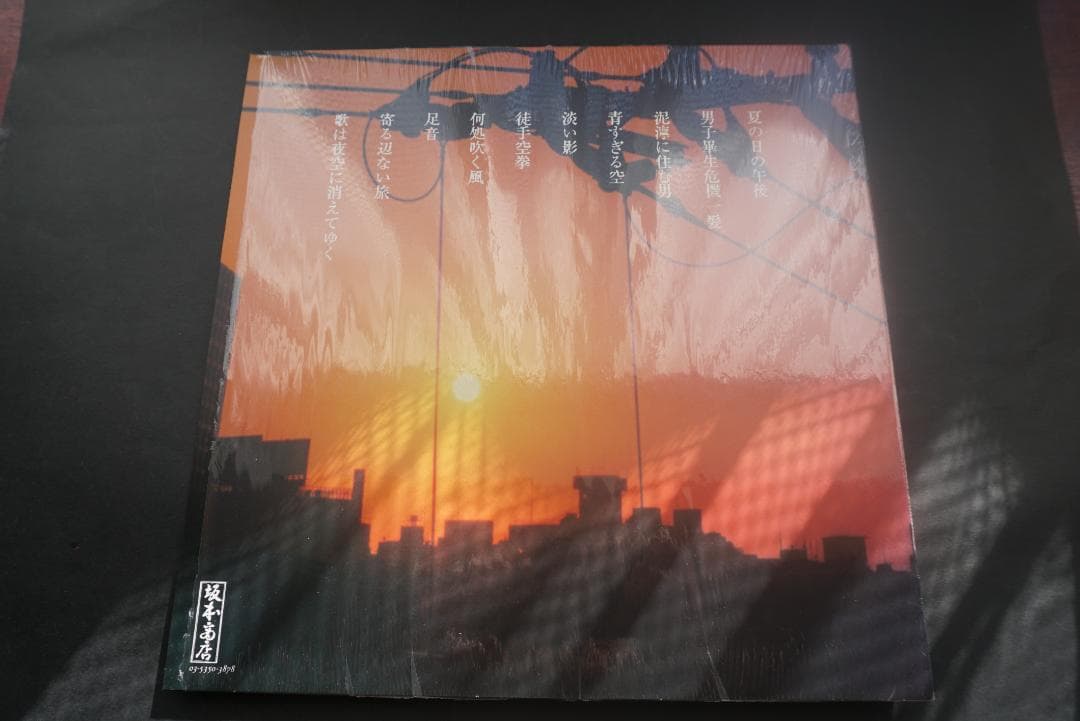 塩*。様 イースタンユース/eastern youth レコード(アナログ盤)