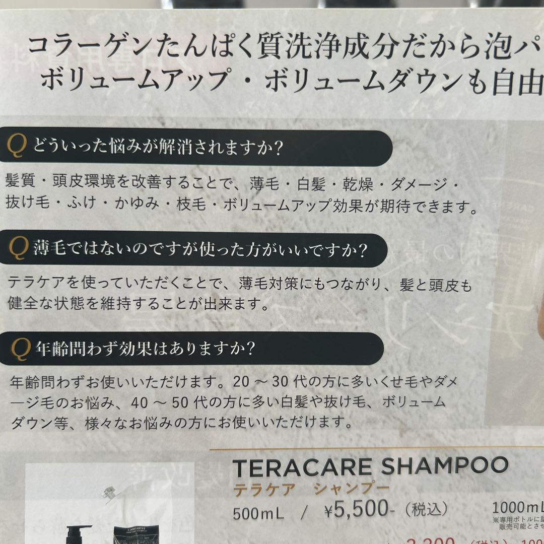 CARENESS TERACARE シャンプー・トリートメントセット