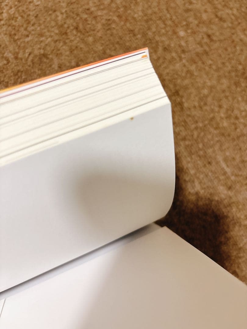 シューゲイザー・ディスク・ガイド revised edition