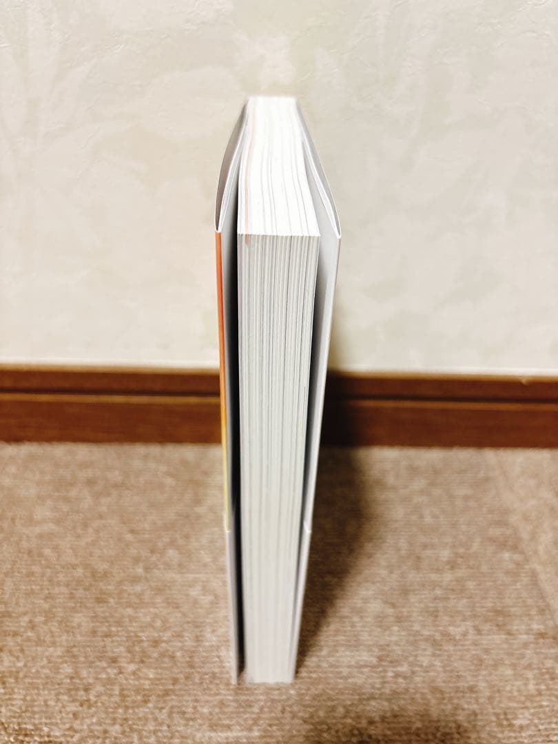 シューゲイザー・ディスク・ガイド revised edition