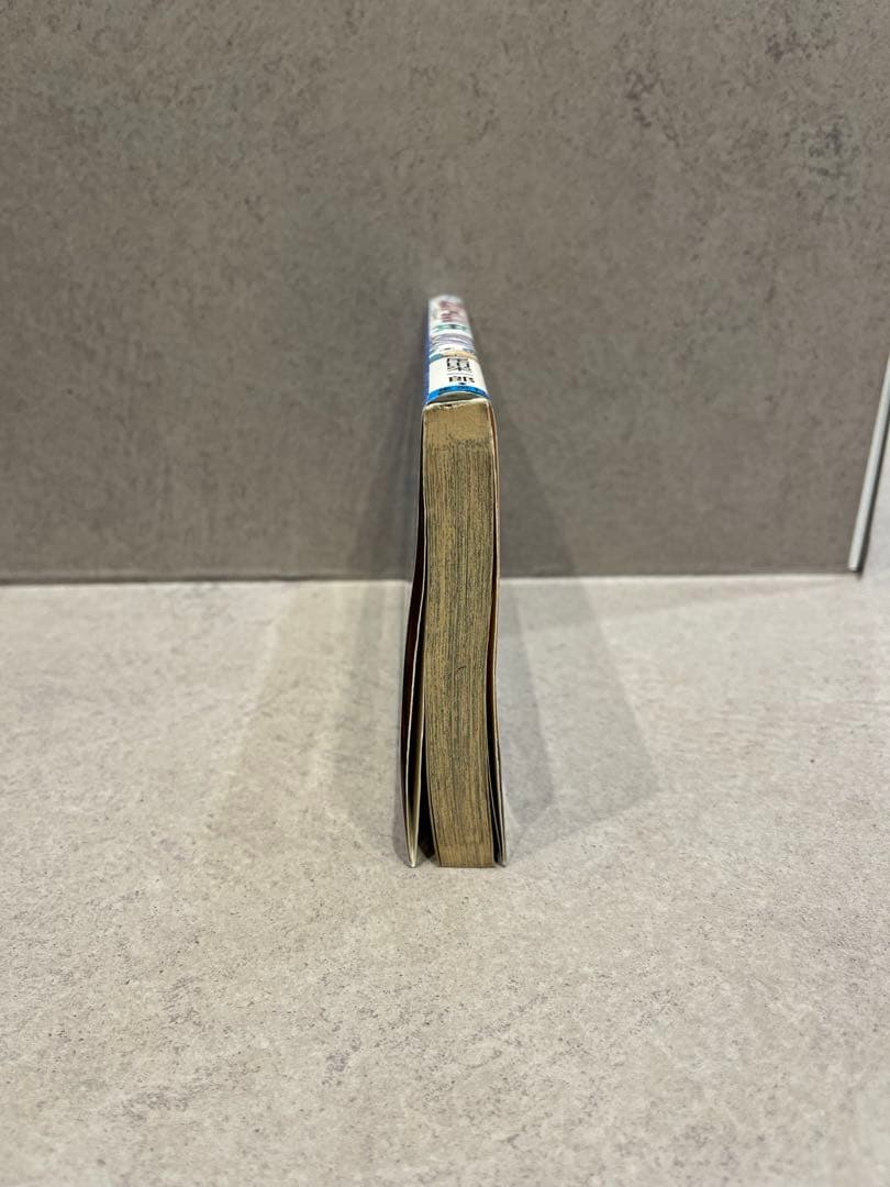 【美品】ONE PIECE 10巻　初版