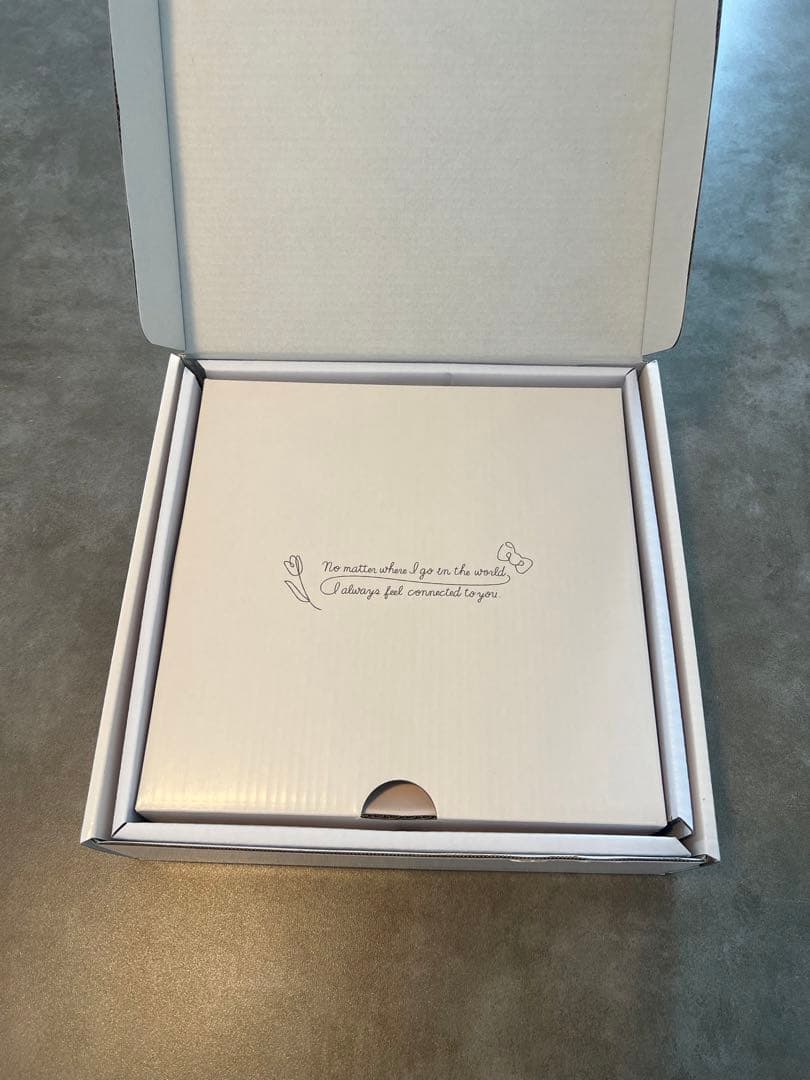 日本未発売　海外限定　STAUB ハローキティ　皿 2枚セット 22CM