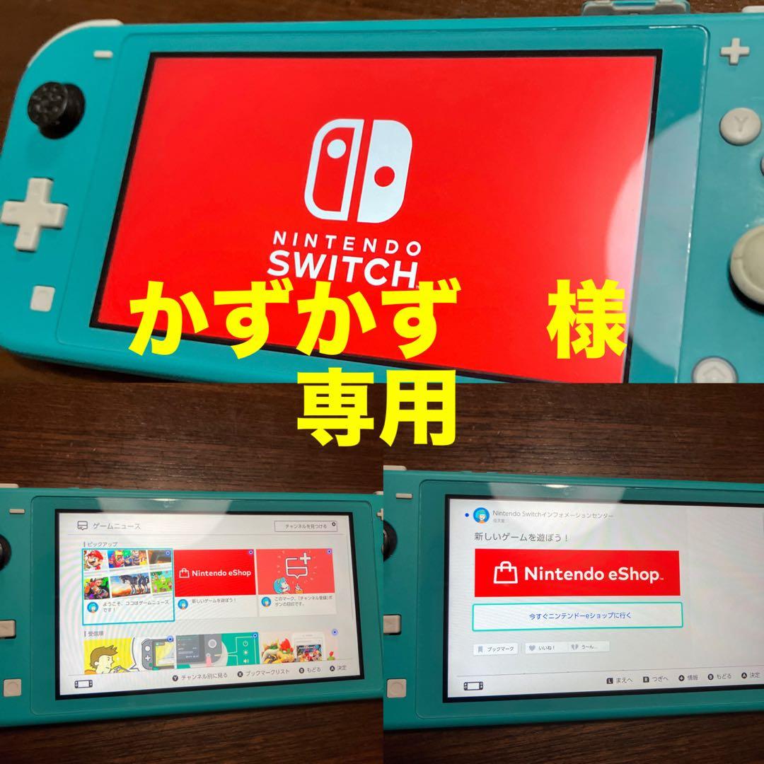 Nintendo Switch Lite ターコイズ 本体　初期化済み中古