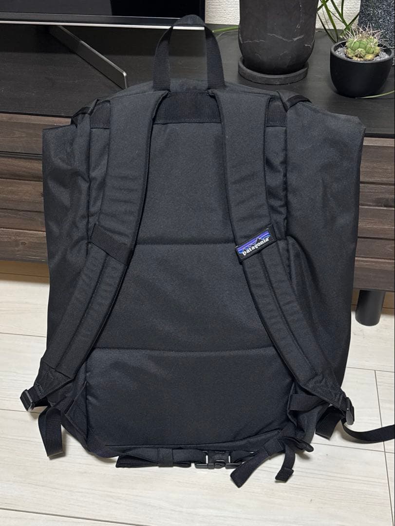 廃盤 入手困難 パタゴニア 25L バックパック リュック 黒 希少　美品