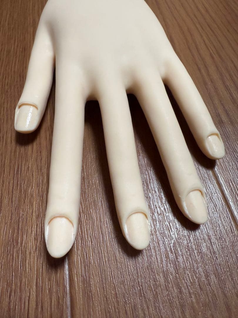 認定モデルハンド　ネイリスト検定　練習 ネイル　ジェルネイル検定　タキガワ　両手