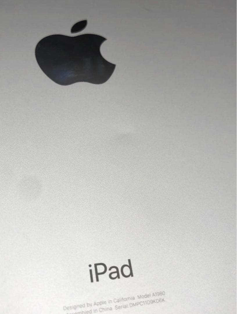 Apple iPad pro シルバー 本体