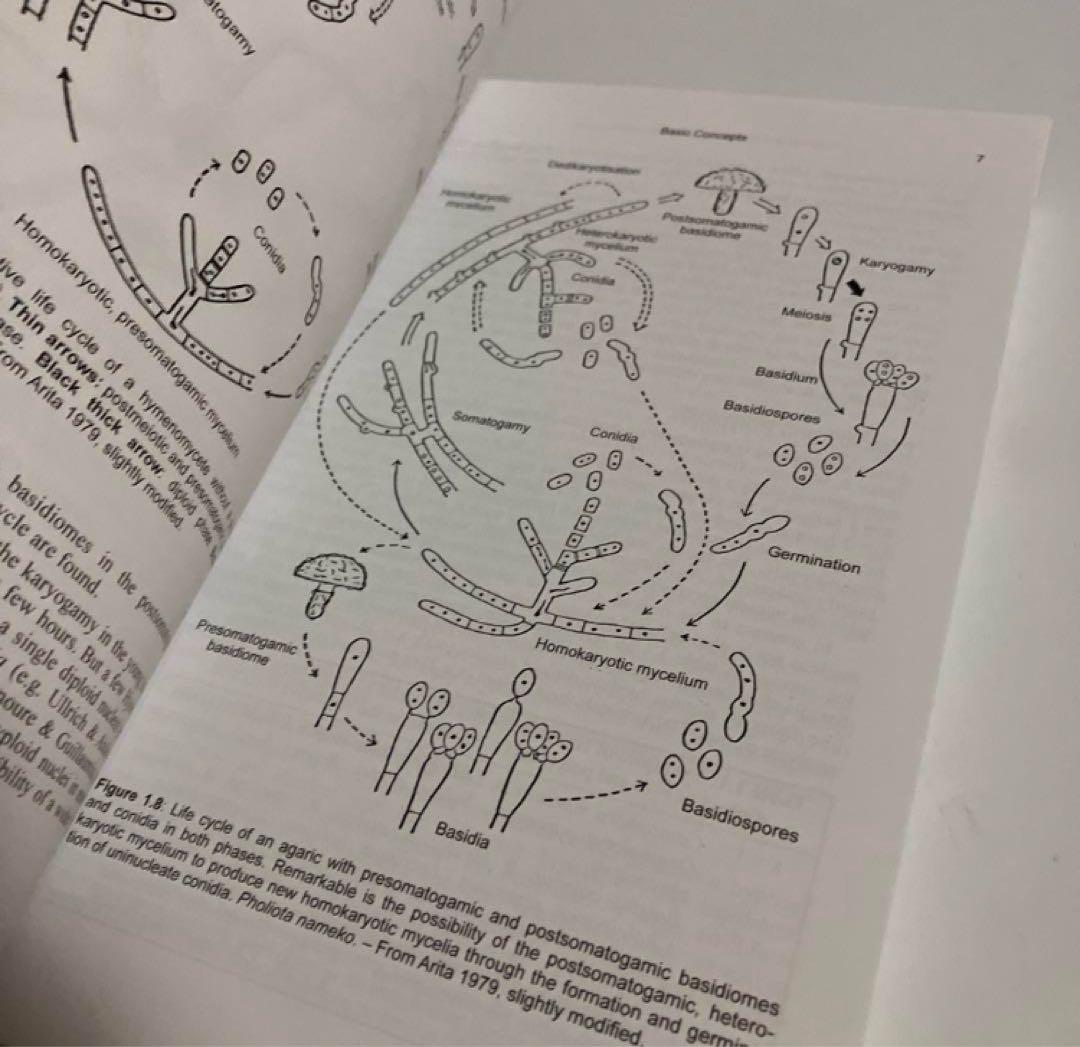 洋書　菌じん類の細胞学・組織学　改訂第2版