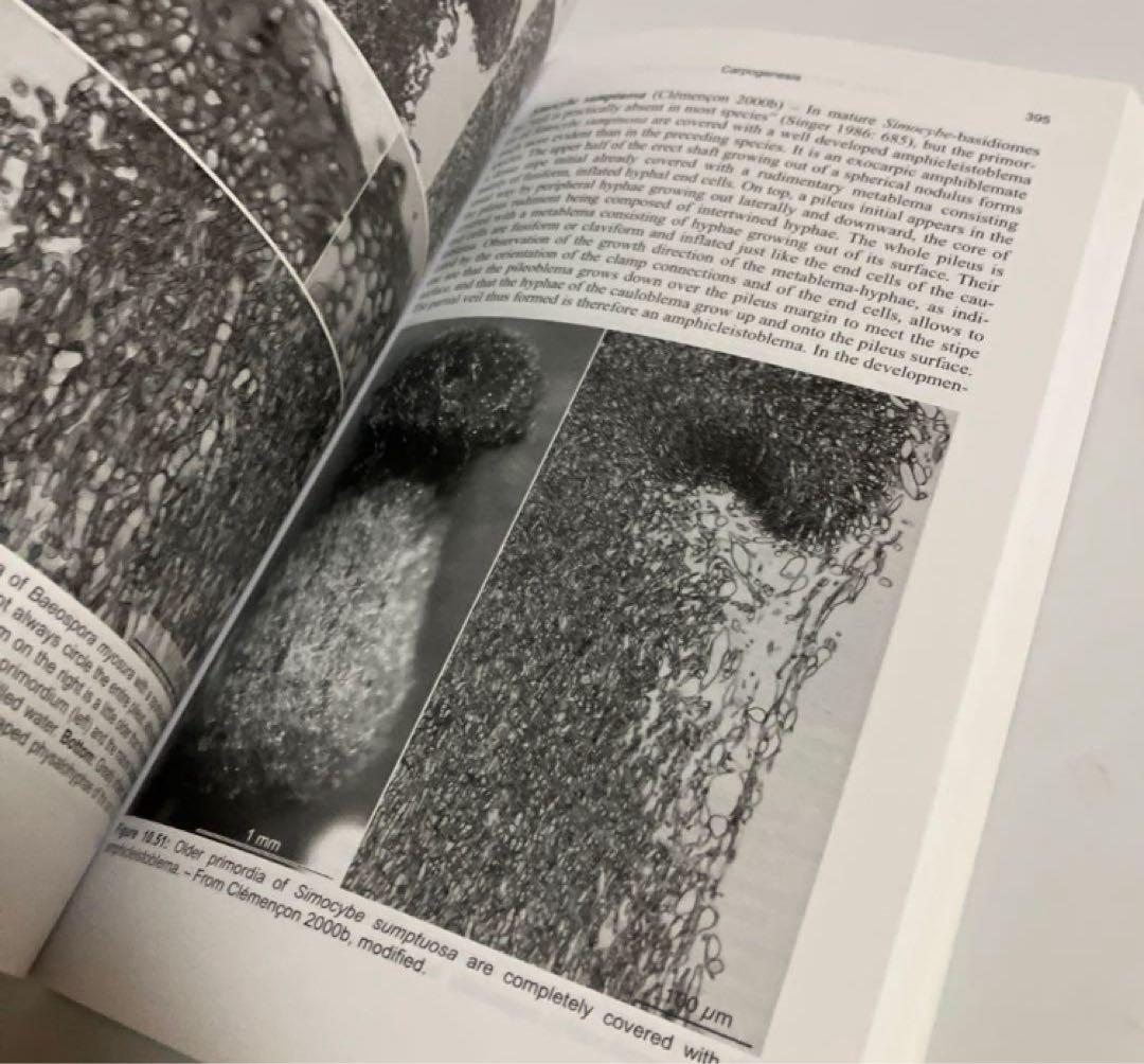 洋書　菌じん類の細胞学・組織学　改訂第2版