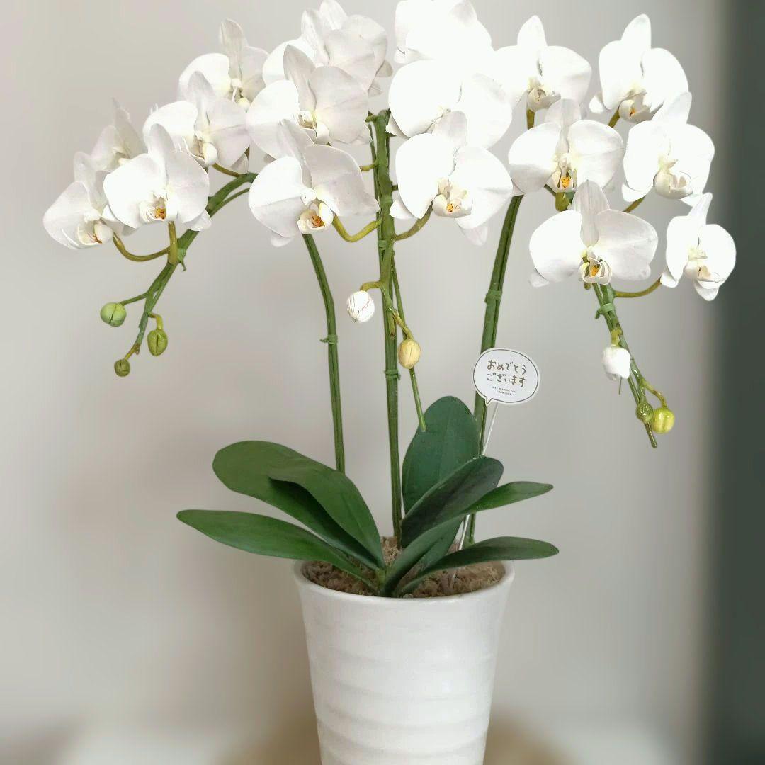 専用　3本立ちホワイト胡蝶蘭　クレイフラワー樹脂粘土
