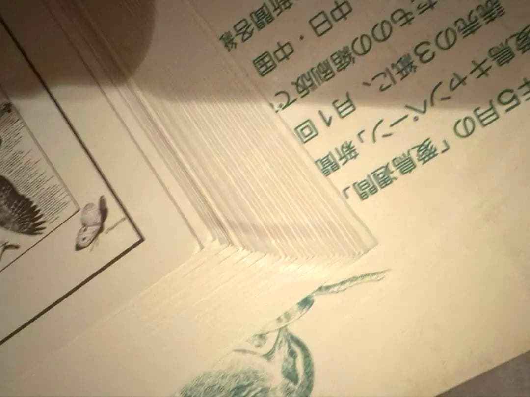 原本付 サントリー 愛鳥キャンペーン新聞広告縮刷版 第1集〜第3集 骨董品