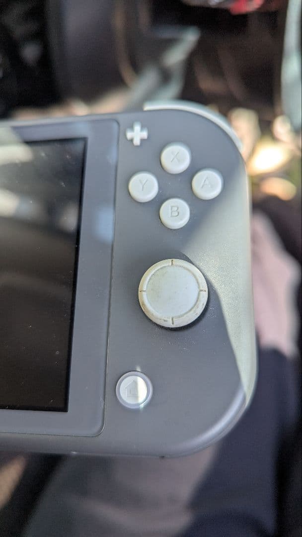 Nintendo Switch Lite グレー 本体 付属品なし