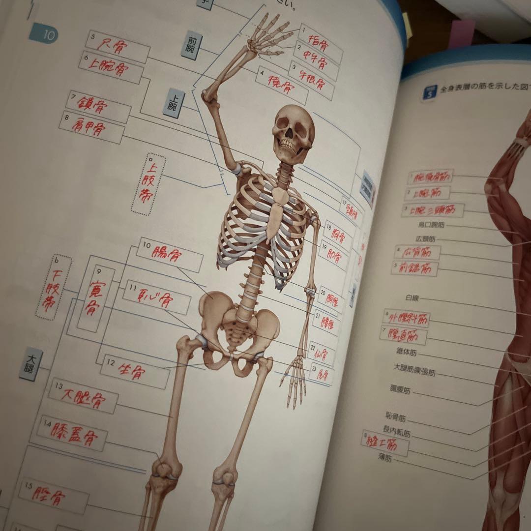 看護学 教科書　通信　大学