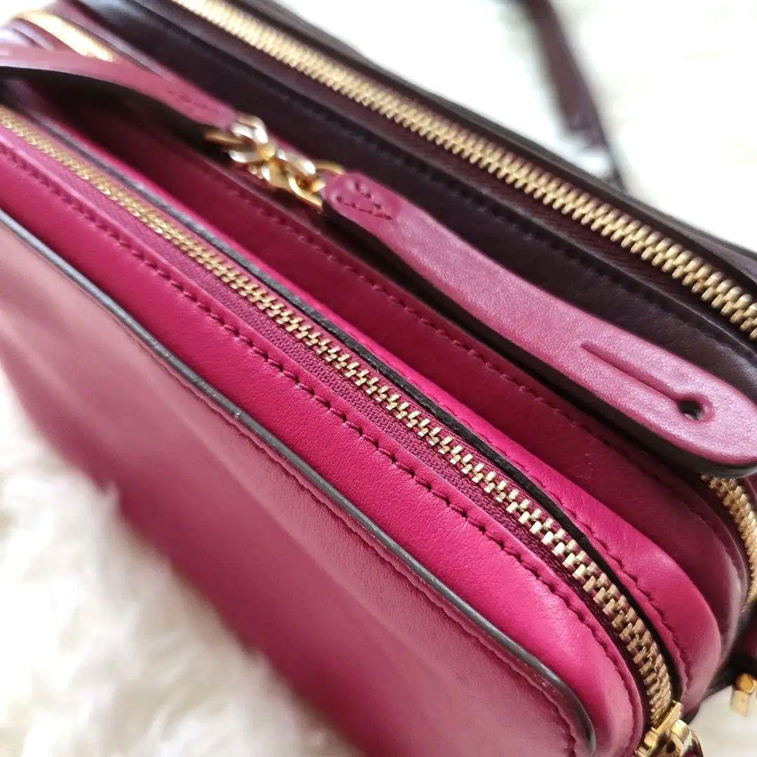 【アニヤハインドマーチ】トリオ ショルダー バッグ